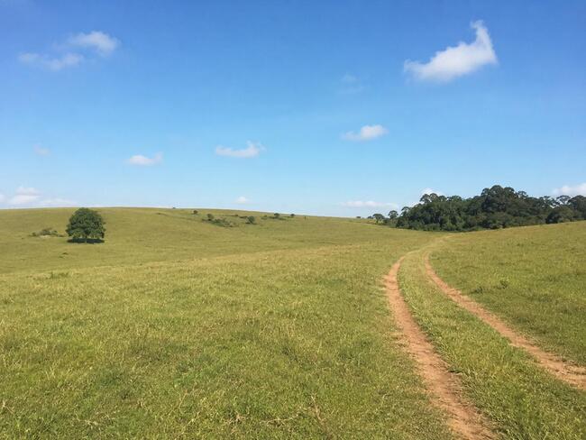 IMÓVEL RURAL | ÁREA DE APROX. 507 HECTARES | GRAJAÚ/MA -  Possibilidade de Parcelamento