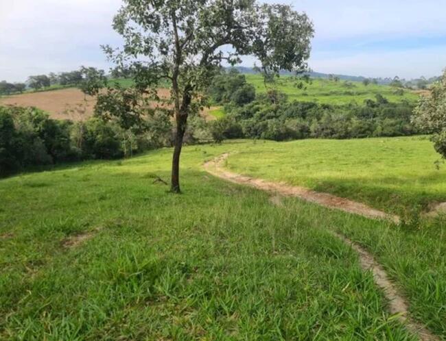 ÁREA RURAL | 16.27.45HA | S/BENFEITORIAS | CORREGO DAS POMBINHAS | JEQUITIBÁ/MG - Possibilidade de Parcelamento