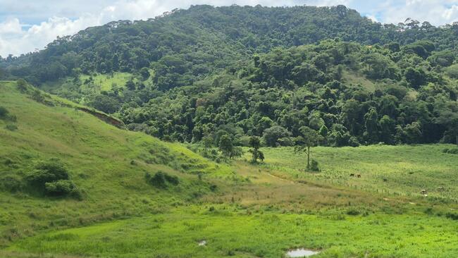 ÁREA DE 3,63 HECTARES EM PONTE NOVA/MG I FUNDO DE ESTOQUE I CAMINHÕES SUCATEADOS I MASSA FALIDA DE SOCIEDADE COMERCIAL MOREIRA