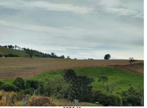 Capa do leilão ID 1281