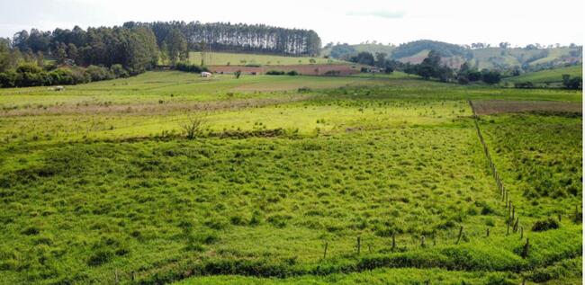 IMÓVEL RURAL | 0300,00HA | DENOMINADO ''CONGONHAL'' | CAMPO BELO/MG