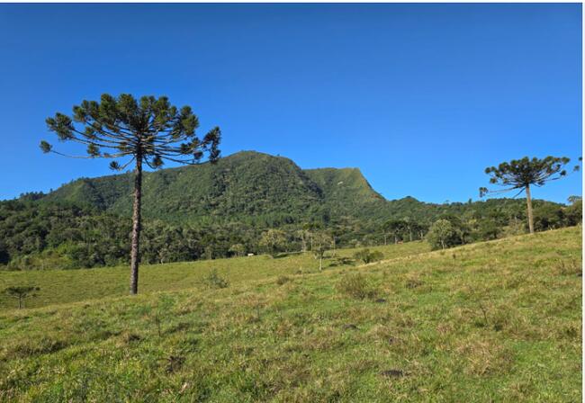 ÁREA  63.000,00m² I FAZENDA GAFANHOTO| DIVINÓPOLIS/MG - Possibilidade de Parcelamento