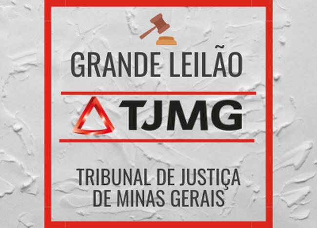 LEILÃO DO TJMG 04/08