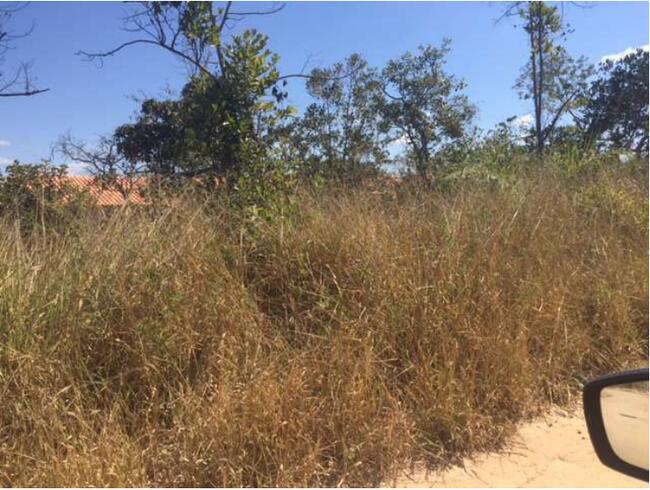 LOTE DE 1.000M² | BAIRRO DUMAVILLE | ESMERALDAS/MG