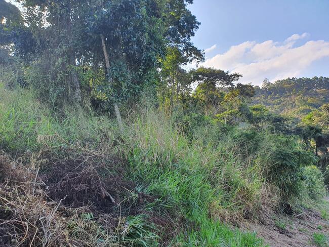 MASSA FALIDA DE METALGRAFICA SÃO MIGUEL LTDA