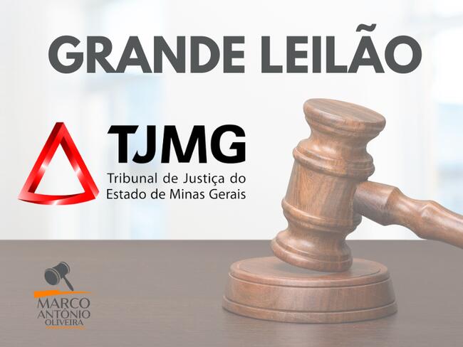 LEILÃO DO TJMG