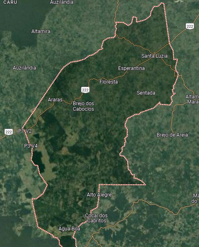 GLEBA DE TERRA COM ÁREA DE 66.1900 HECTÁRES |FAZENDA MONTE ALTOS |SANTA LUZIA /MARANHÃO