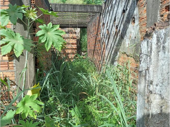 TERRENO DESTINADO A CONSTRUÇÃO DE UM PRÉDIO | 27M DE LATERAL e 6M DE FRENTE | BAIRRO  PEDREIRAS/MA