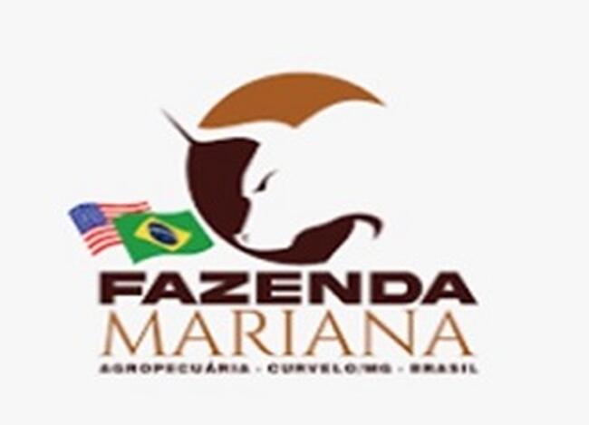 MASSA FALIDA DE FAZENDA AGROP. MARIANA LTDA I MÓVEIS I ELETROS I TVS I UTENSÍLIOS I GERADOR CATERPILLAR I EQUIP. I ETC I BENS DE ALTO PADRÃO