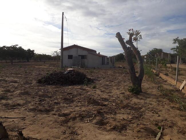 Uma Parte De Terra Localizada No Sitio Montevidéu, Zona Rural Do Município De Nova Floresta-pb, Medindo 01 Hectare, Distante Aproximadamente 1,1km Da Zona Urbana, localizado em Nova Floresta - PB