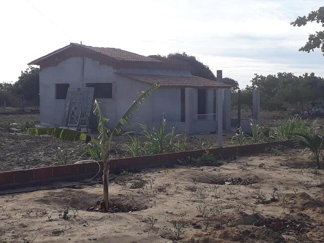 Uma Parte De Terra Localizada No Sitio Montevidéu, Zona Rural Do Município De Nova Floresta-pb, Medindo 01 Hectare, Distante Aproximadamente 1,1km Da Zona Urbana, localizado em Nova Floresta - PB