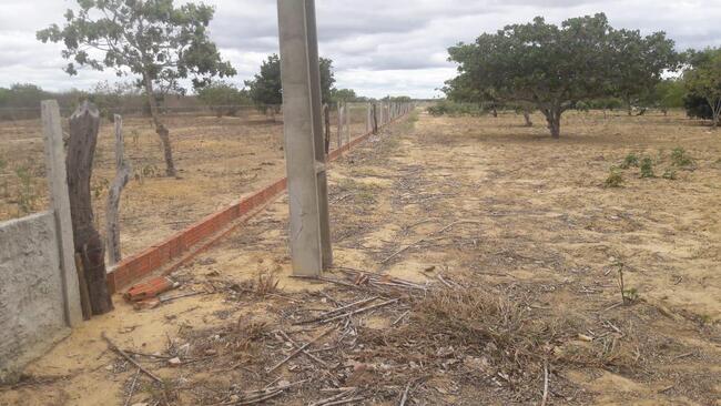 Uma Parte De Terra Localizada No Sitio Montevidéu, Zona Rural Do Município De Nova Floresta-pb, Medindo 01 Hectare, Distante Aproximadamente 1,1km Da Zona Urbana, localizado em Nova Floresta - PB