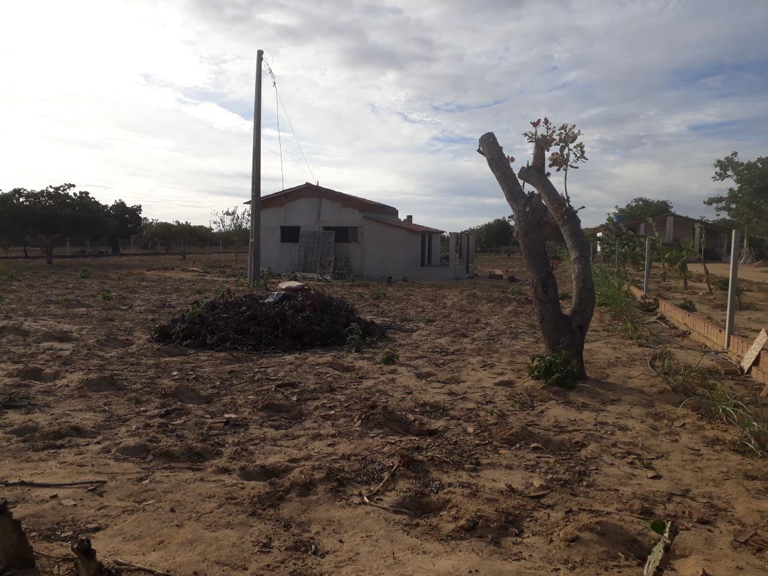 Imagem do imóvel Uma Parte De Terra Localizada No Sitio Montevidéu, Zona Rural Do Município De Nova Floresta-pb, Medindo 01 Hectare, Distante Aproximadamente 1,1km Da Zona Urbana