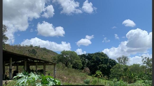 COMPREI (PGFN) - CHÁCARA COM 3 HECTARES EM PILÕEZINHO/PB