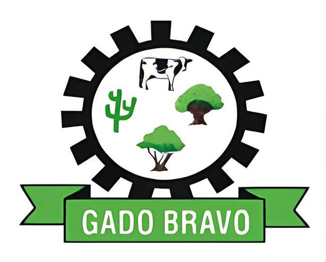LEILÃO DA PREFEITURA MUNICIPAL DE GADO BRAVO/PB - VEÍCULOS, RETROESCAVADEIRA E MATERIAIS