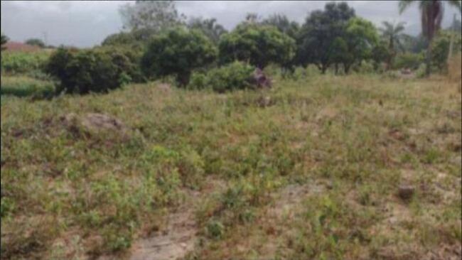 ALIENAÇÃO COMPREI (PGFN)/USTIÇA FEDERAL - Imóvel, com uma área de 9.40 ha, denominado Sítio Batista, sem benfeitoria, localizado na região da Noruega, zona rural de Junco de Seridó-PB. AVALIAÇÃO R$ 400.000,00 FAÇA SUA PROPOSTA