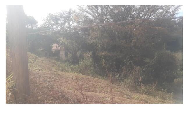 LEILÃO TRABALHISTA POUSO ALEGRE MG - ÁREA RURAL SÃO JOÃO DA MATA MG