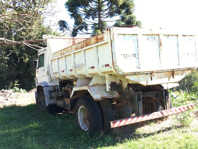 CAMINHAO BASCULANTE LOTE 2