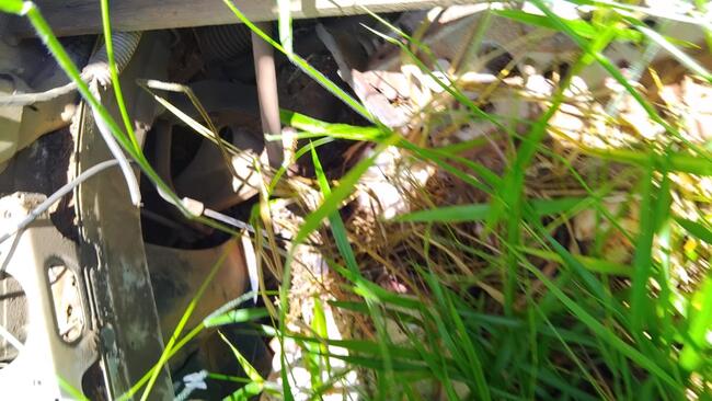 VW/SAVEIRO PICKUPECIA CS 1.6