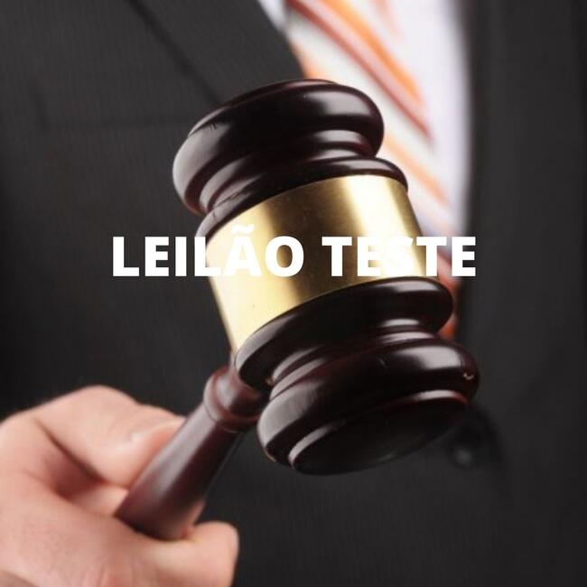 LEILÃO TESTE DE SITE 3