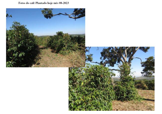 Gleba De Terras - Área De 3,63 00 Hás - Varginha/mg, localizado em Varginha - MG