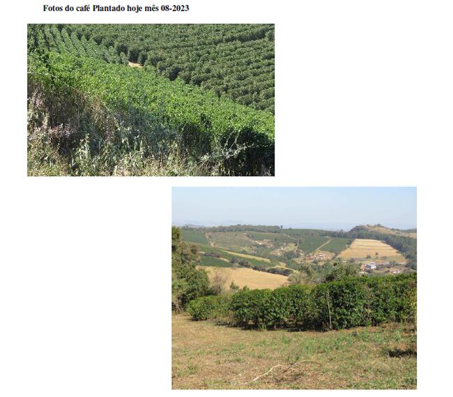 Gleba De Terras - Área De 3,63 00 Hás - Varginha/mg, localizado em Varginha - MG