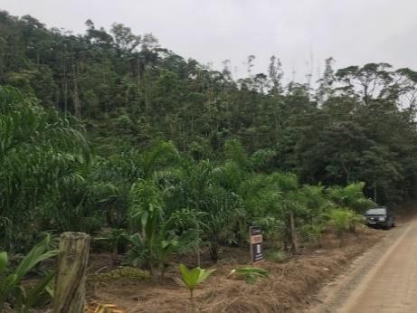 Terreno no Monte Crista (foto 4 de 15)