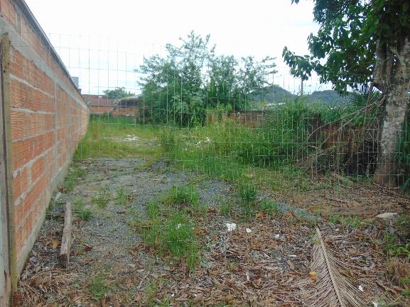 Terreno no Paranaguamirim (foto 2 de 18)