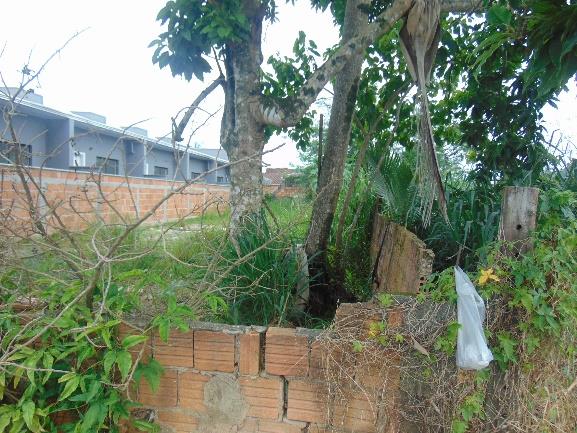 Terreno no Paranaguamirim (foto 3 de 18)