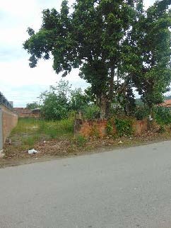Terreno no Paranaguamirim (foto 4 de 18)