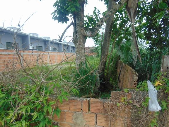 Terreno no Paranaguamirim (foto 5 de 18)