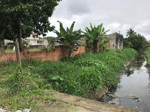 Terreno no Paranaguamirim (foto 6 de 18)