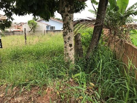 Terreno no Paranaguamirim (foto 9 de 18)