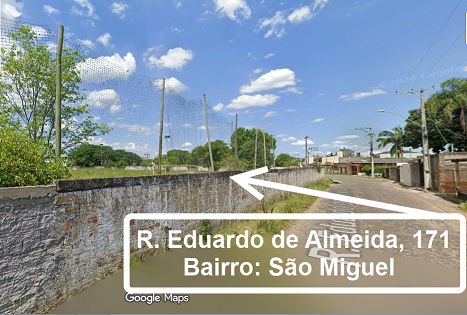 Imagem 11