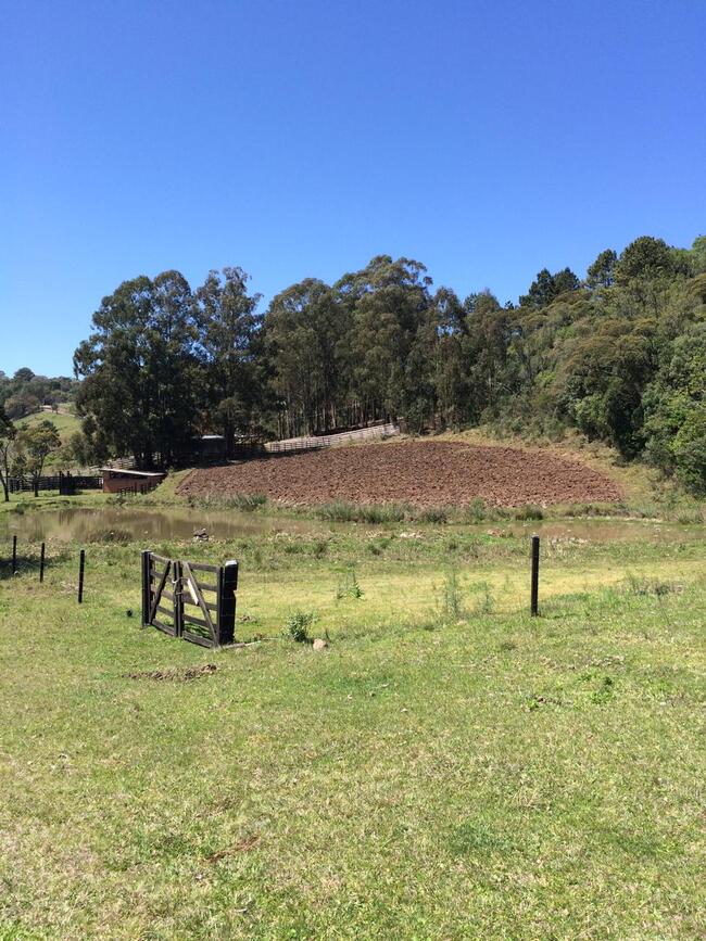 VENDA DIRETA EXTRAJUDICIAL DE 7.7  HECTARES - EM CAXIAS DO SUL/RS
