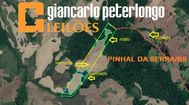 LEILÃO JUDICIAL DE ÁREA DE 19,8399HA CONFORME MATRICULA Nº 4425 - EM PINHAL DA SERRA/RS