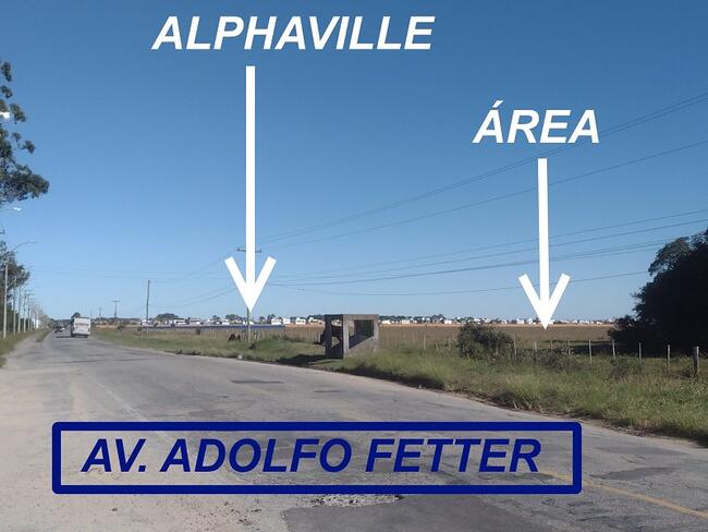 VENDA DIRETA DE IMÓVEL COM  56 HA - EM PELOTAS/RS