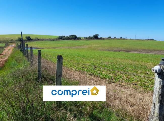 VENDA DIRETA DE FAZENDA - EM SANTANA DO LIVRAMENTO/RS