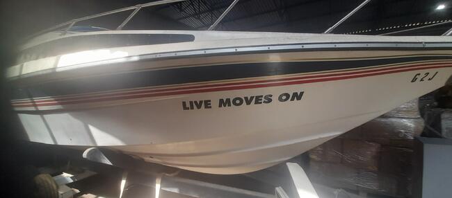 LEILÃO JUDICIAL DE 01 LANCHA