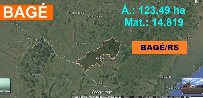 VENDA DIRETA JUDICIAL  DE 123,49 HA - BAGÉ/RS