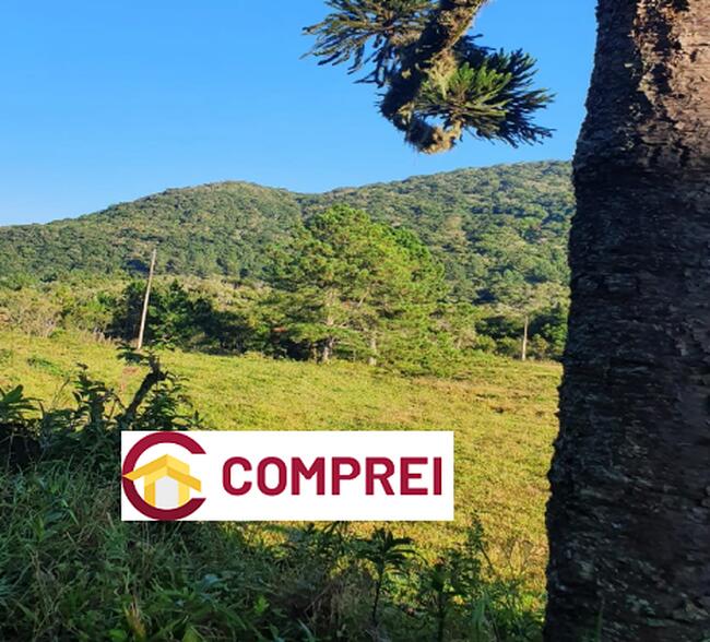 VENDA DIRETA DE TERRENO - EM SÃO FRANCISCO DE PAULA/RS