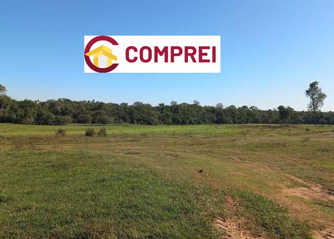VENDA DIRETA DE FAZENDA C/ 304 HA - MATO GROSSO DO SUL/MS