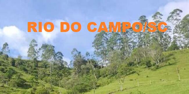 LEILÃO JUDICIAL DE FRAÇÃO IDEAL DE IMÓVEL - EM RIO DO CAMPO/SC