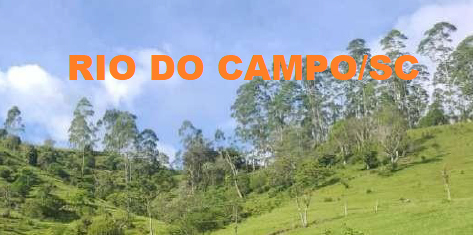 Capa do leilão ID 3668