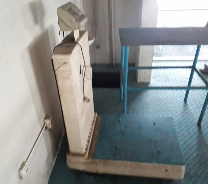 01 Balança Eletrônica Cap. 500Kg