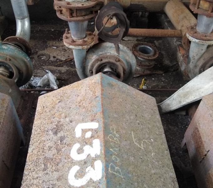 Conjunto motor-bomba 30cv Bufalo