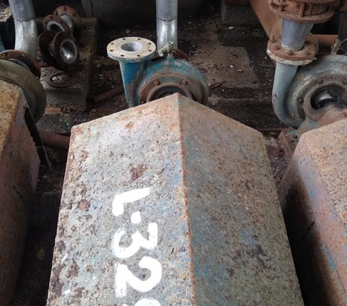 Conjunto motor-bomba 30cv Bufalo