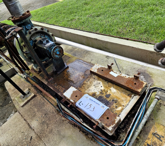 01 MOTOBOMBA WEG/EQUIPE 125CV, P-5101A (SEM MOTOR, COM BOMBA)
