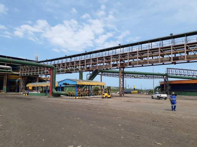Leilão Usina Coruripe Industria