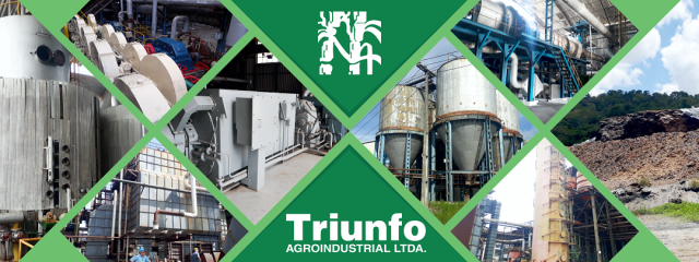 Leilão Usina Triunfo Agroindustrial LTDA
